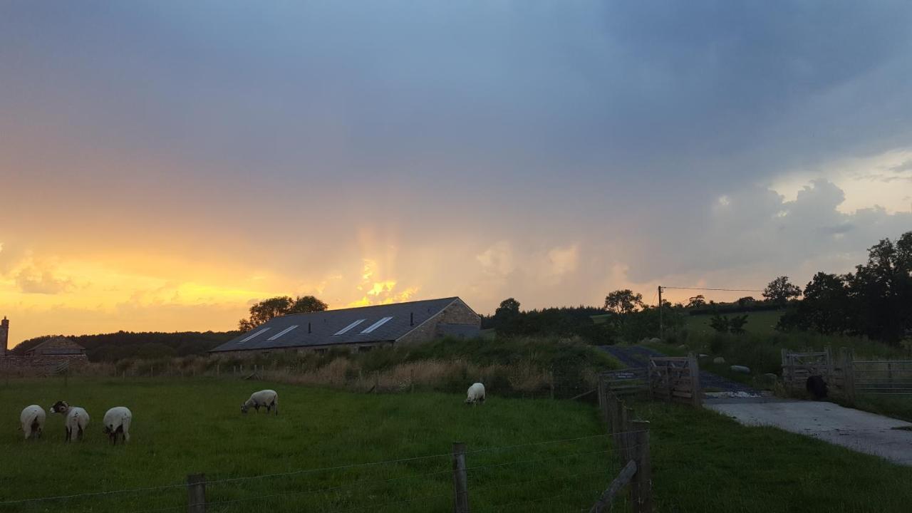 קירקבי סטפן Keld Barn, Low Ploughlands Holiday Lets מראה חיצוני תמונה